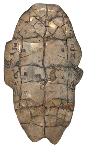 Shang Dynasty Tortoise shell for divination